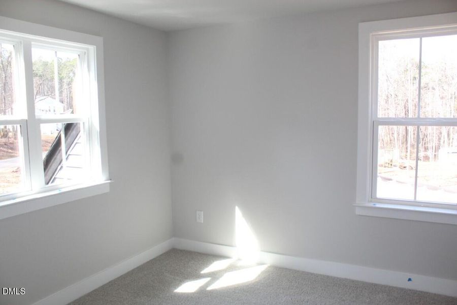 IMG_7447 (Medium) IMG_7447 (Medium)