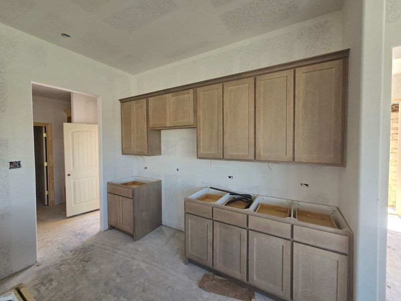 In-progress construction of a new home in Morningstar, Aledo, TX (Image 9).