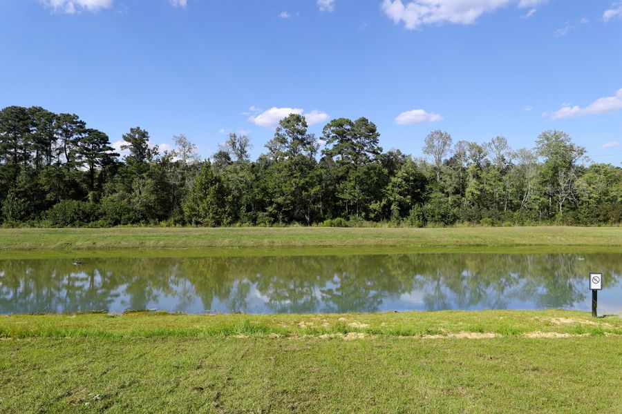 Natural landscape and outdoor views near Jordan Grove in Conway (Image 45).