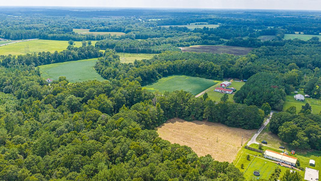 Natural landscape and outdoor views near  in Holly Hill (Image 61).