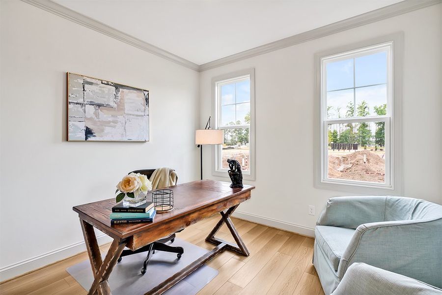 Lumina Island, Study