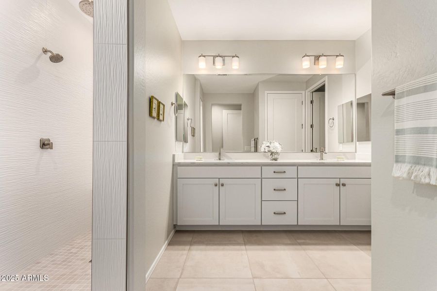 25-Cactus Wren 25-Cactus Wren