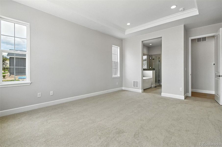 3394 Backdrop Ridge ~ Ready Now