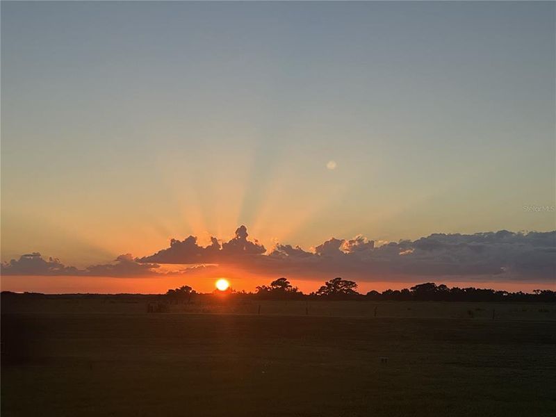 Natural landscape and outdoor views near  in Dade City (Image 64).