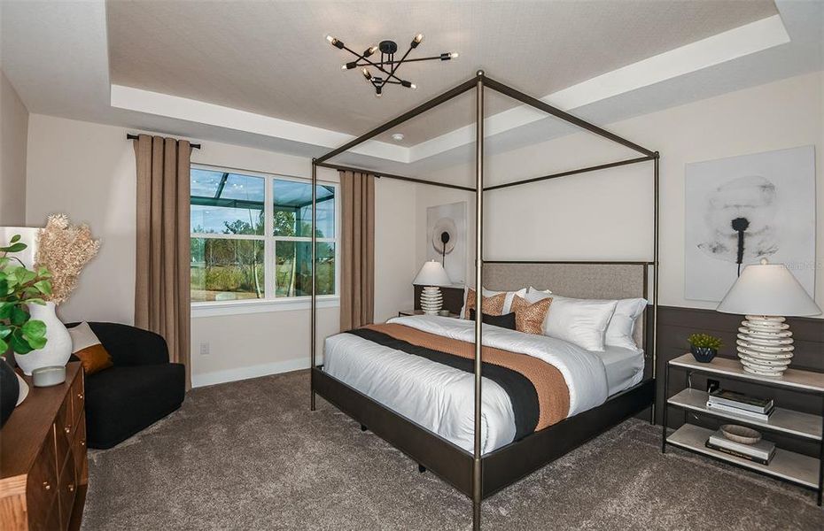 Model Representation