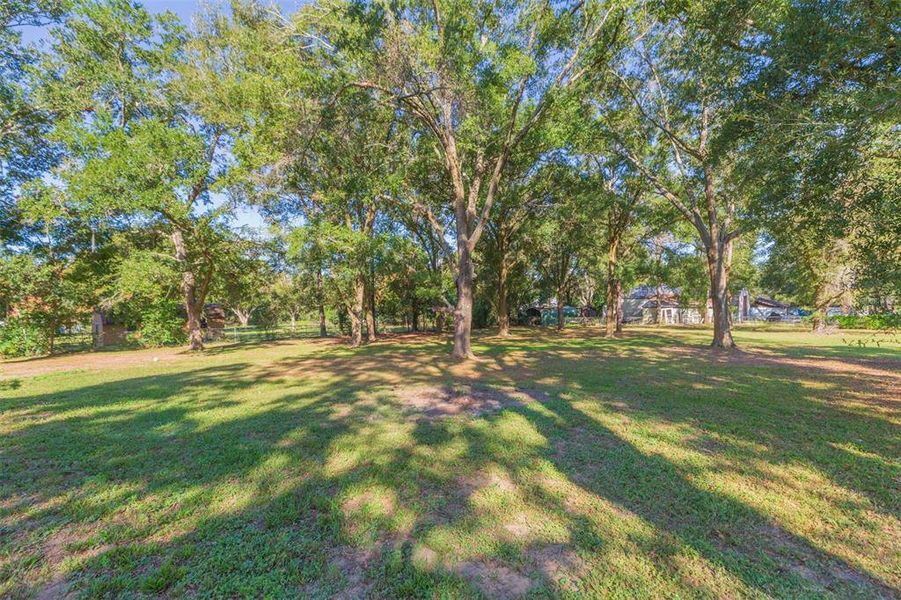 Natural landscape and outdoor views near  in Dade City (Image 45).