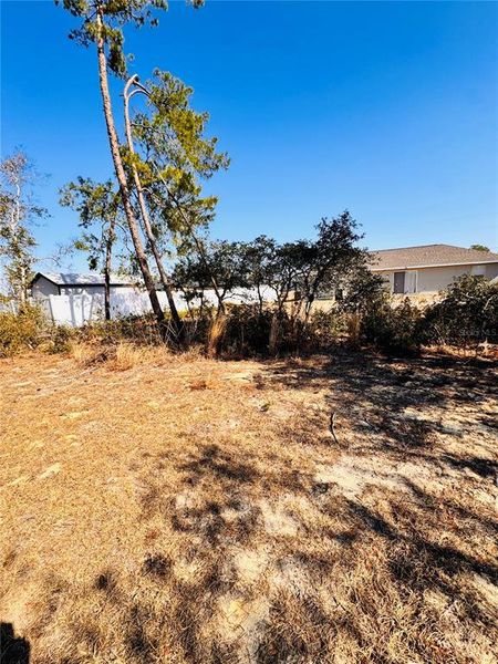Natural landscape and outdoor views near  in Ocala (Image 12).