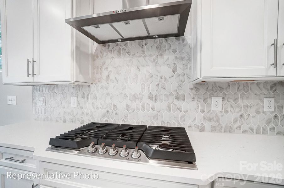 Close-up of interior finishes inside a home in Founders Landing | 55+ Community, Gastonia (Image 10).