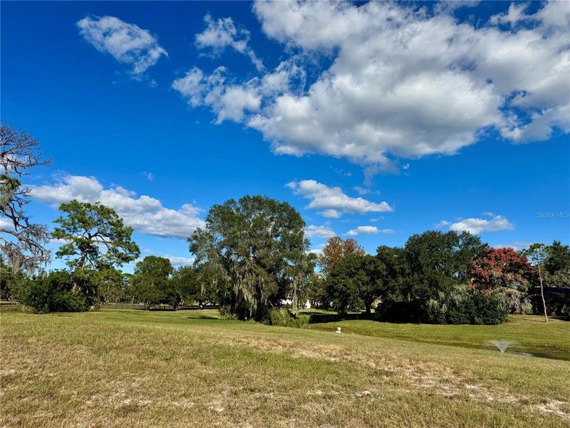 Natural landscape and outdoor views near in Tarpon Springs (Image 17). Natural landscape and outdoor views near in Tarpon Springs (Image 17).