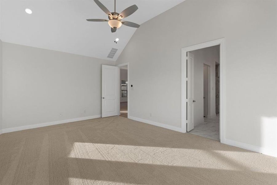 DAL_Painted Tree_Easton_3905 Menard Street (17)