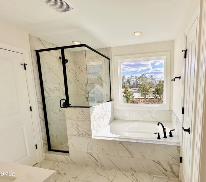 master bath tub and tall shower