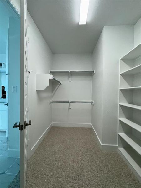 Spacious closet featuring carpet flooring Primary Closet