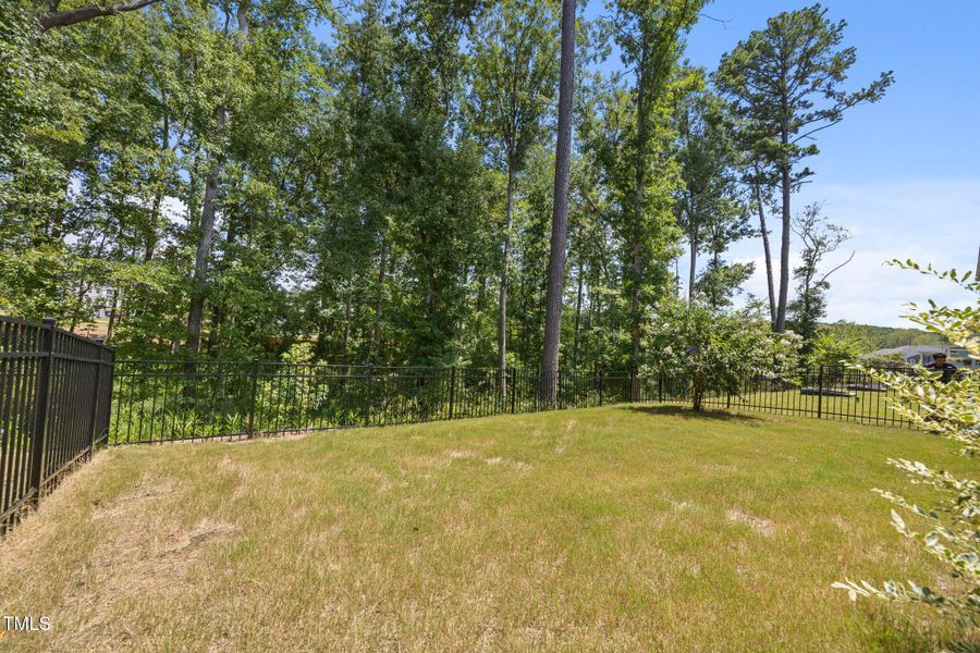 54-web-or-mls-IMG_1727