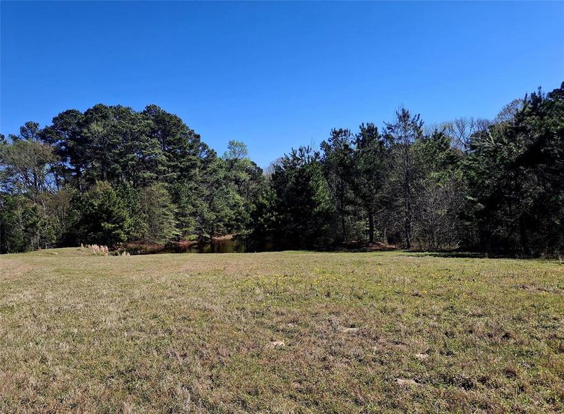 Natural landscape and outdoor views near  in Jacksonville (Image 13).