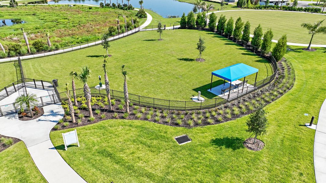 Community amenities in Windward, Lakewood Ranch (Image 10).