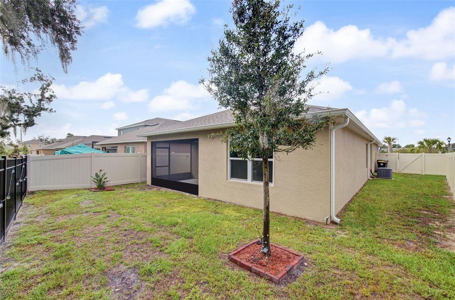 Exterior details and patio area of a home in Cadence at Parc Hill, Orange City (Image 18). Exterior details and patio area of a home in Cadence at Parc Hill, Orange City (Image 18).