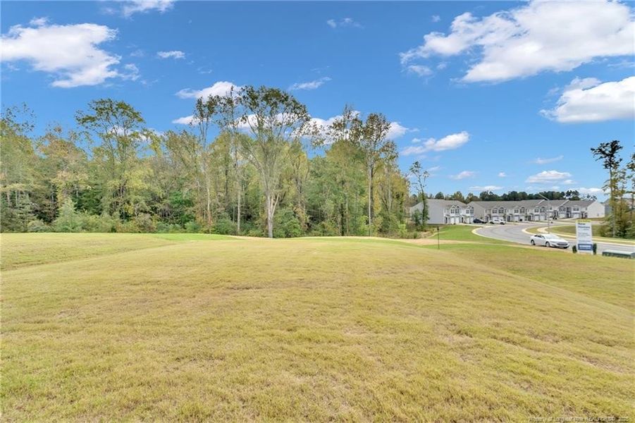 Patio to Backyard View