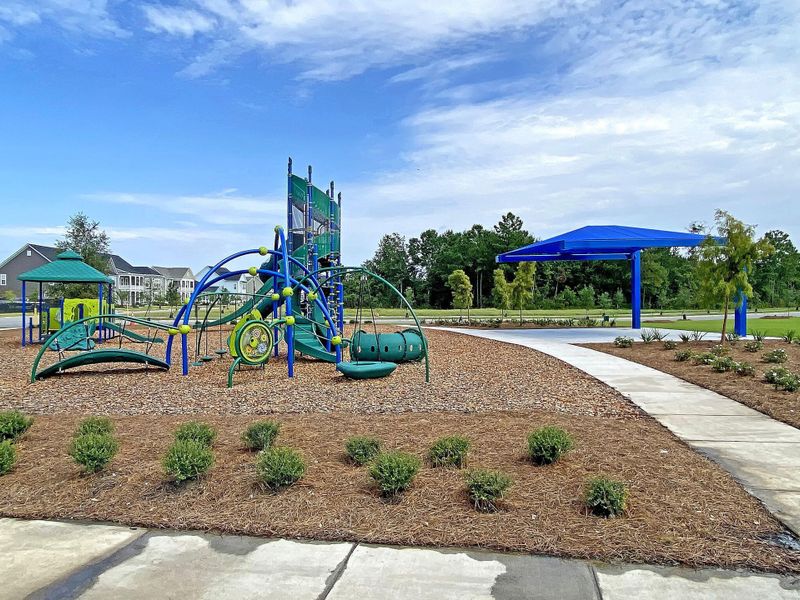 Community amenities in Carnes Crossroads, Summerville (Image 48).