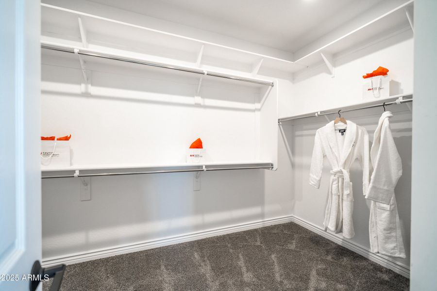 11897 N 169th Ave 11897 N 169th Ave