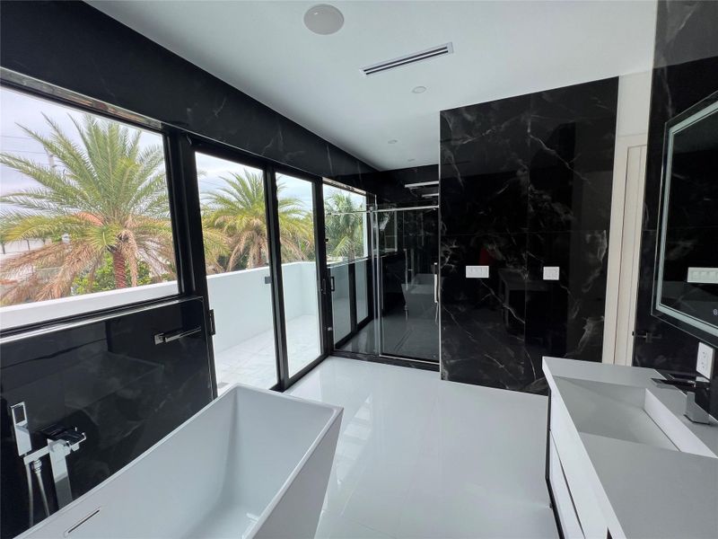 Master Bathroom Soaking Spa & Double Showers