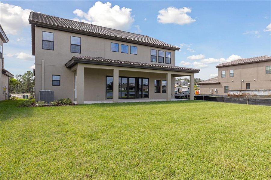 Exterior details and patio area of a home in Hawkstone, Lithia (Image 23).