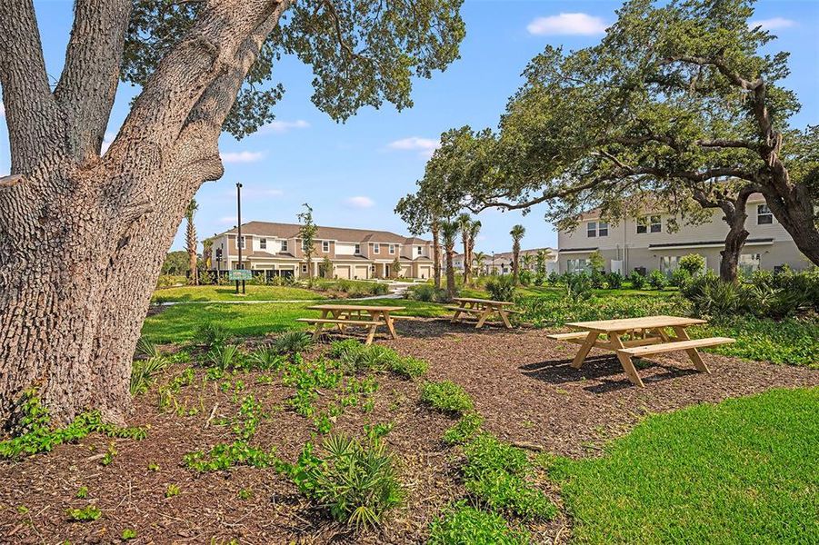 Natural landscape and outdoor views near Vinterra Townhomes in Nokomis (Image 27).