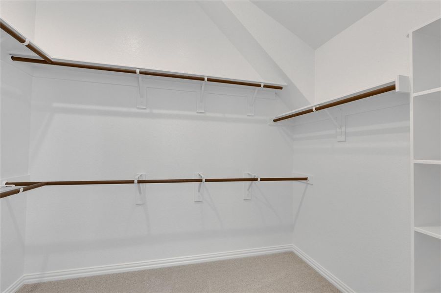 Walk in closet featuring carpet floors Walk in closet featuring carpet floors