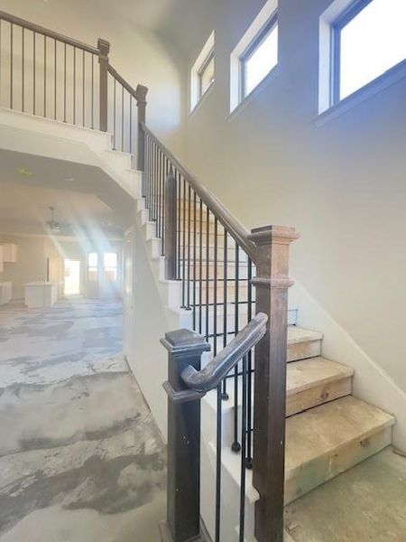 Progress Photos - Entry