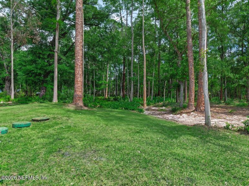 Natural landscape and outdoor views near  in Jacksonville (Image 53).