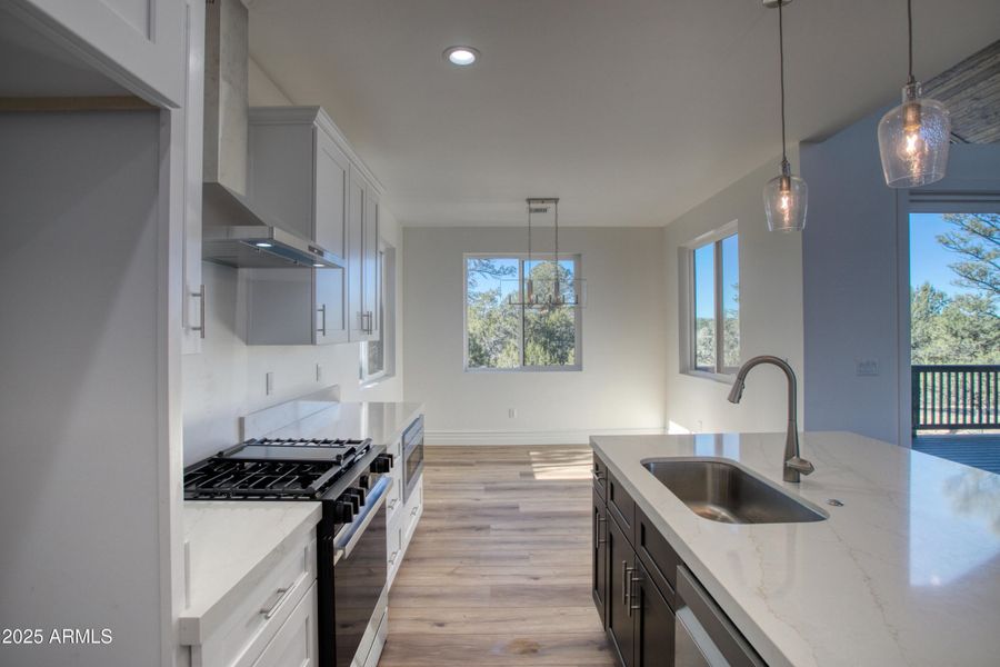 PaxmanPh_IMG_9590 PaxmanPh_IMG_9590