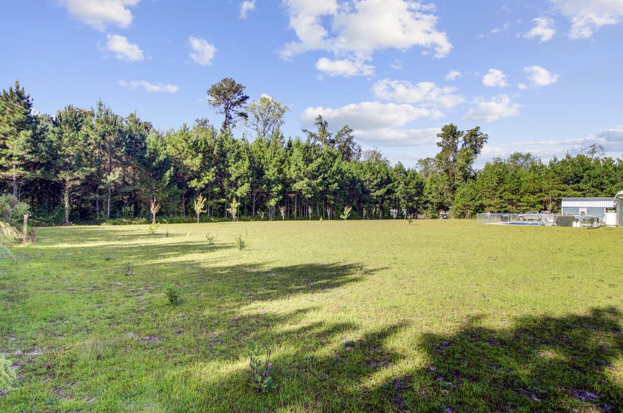 Natural landscape and outdoor views near  in Cottageville (Image 20).