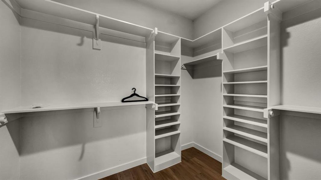 Walk in closet with dark wood-style flooring