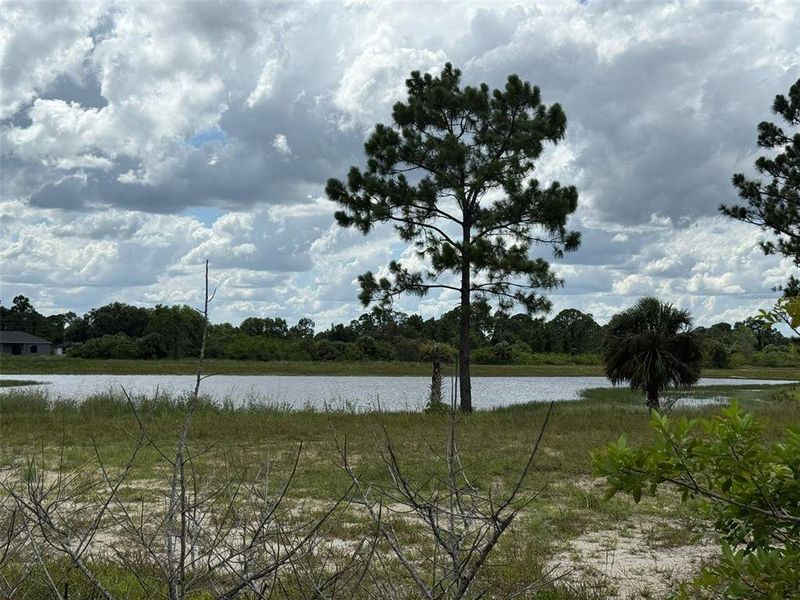 Natural landscape and outdoor views near  in Lehigh Acres (Image 29).