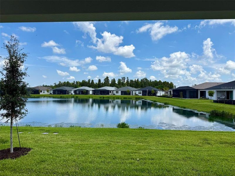 Natural landscape and outdoor views near Valencia Ridge (55+) in Wesley Chapel (Image 11). Natural landscape and outdoor views near Valencia Ridge (55+) in Wesley Chapel (Image 11).