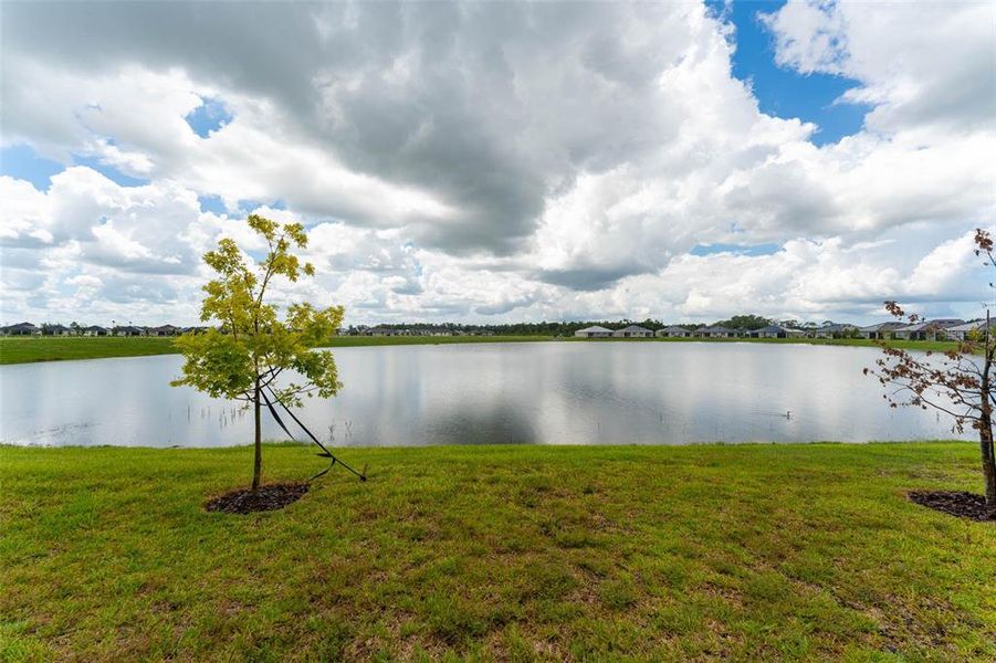 Natural landscape and outdoor views near Prosperity Lakes Active Adult in Parrish (Image 53).