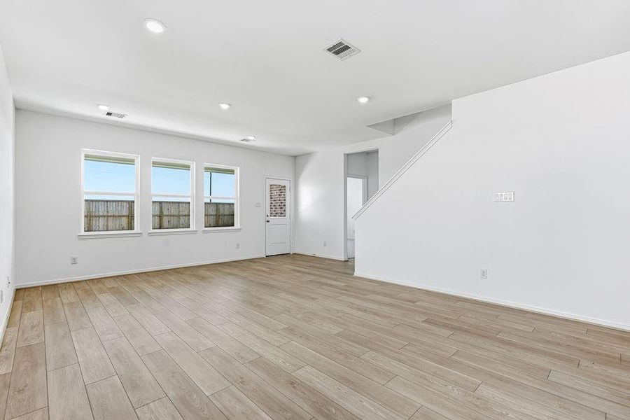 615 Yaupon Holly ~ Ready Now