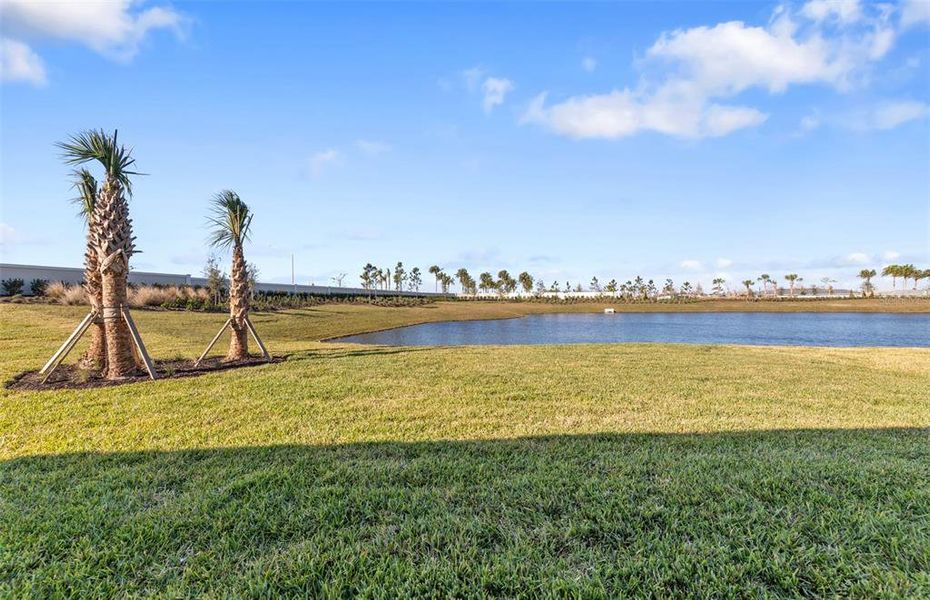 Natural landscape and outdoor views near Del Webb Catalina in Lakewood Ranch (Image 39).