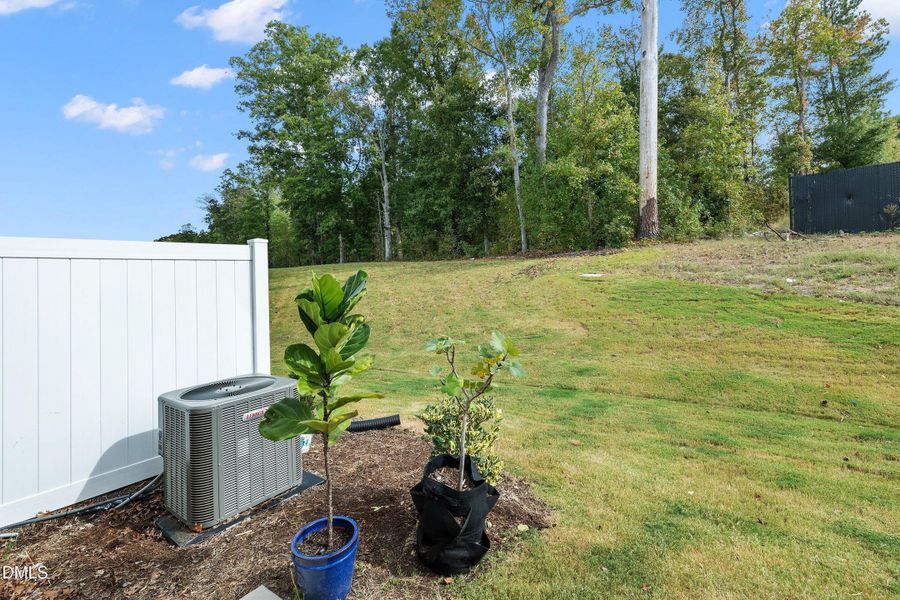 44-2494 Tonoloway Dr20251010_0209