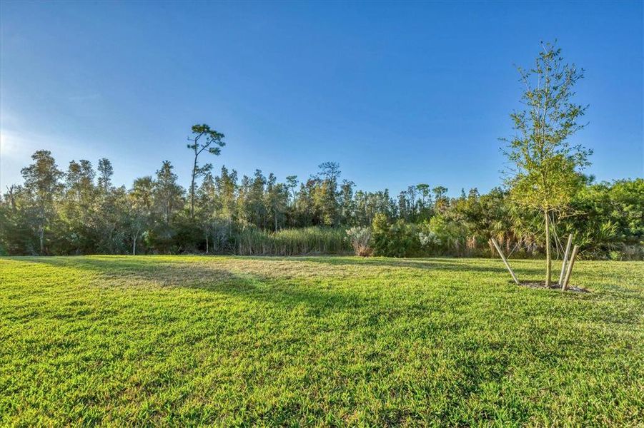 Natural landscape and outdoor views near  in Punta Gorda (Image 44).