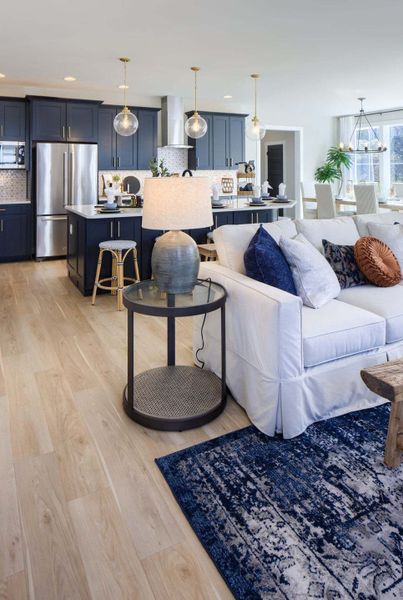 Classic Kitchen and Family Room