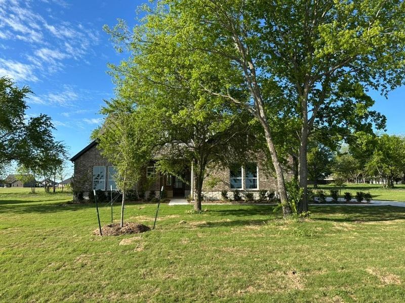Natural landscape and outdoor views near Fannin Ranch in Leonard (Image 25).