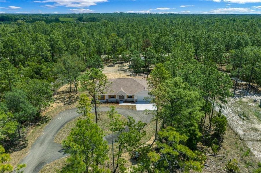 Natural landscape and outdoor views near  in Ocala (Image 73).