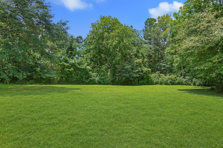 This photo shows a spacious, green lawn surrounded by lush trees, providing a serene and private outdoor space. This photo shows a spacious, green lawn surrounded by lush trees, providing a serene and private outdoor space.