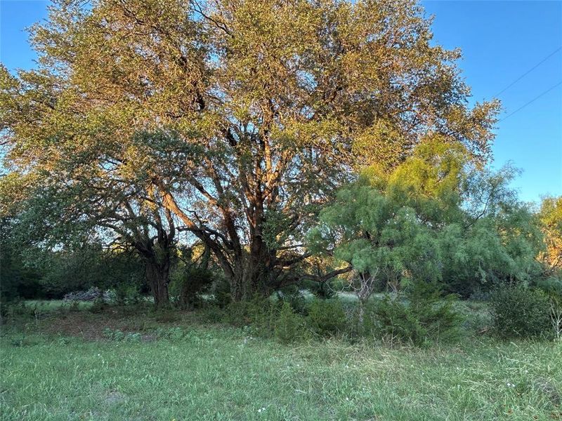 Natural landscape and outdoor views near  in Goldthwaite (Image 15).