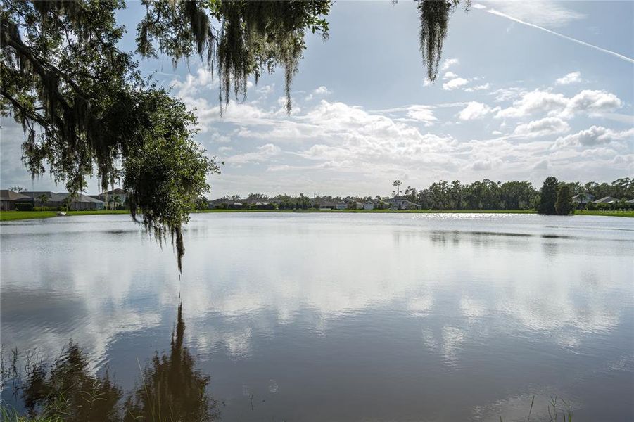 Natural landscape and outdoor views near  in Parrish (Image 46).