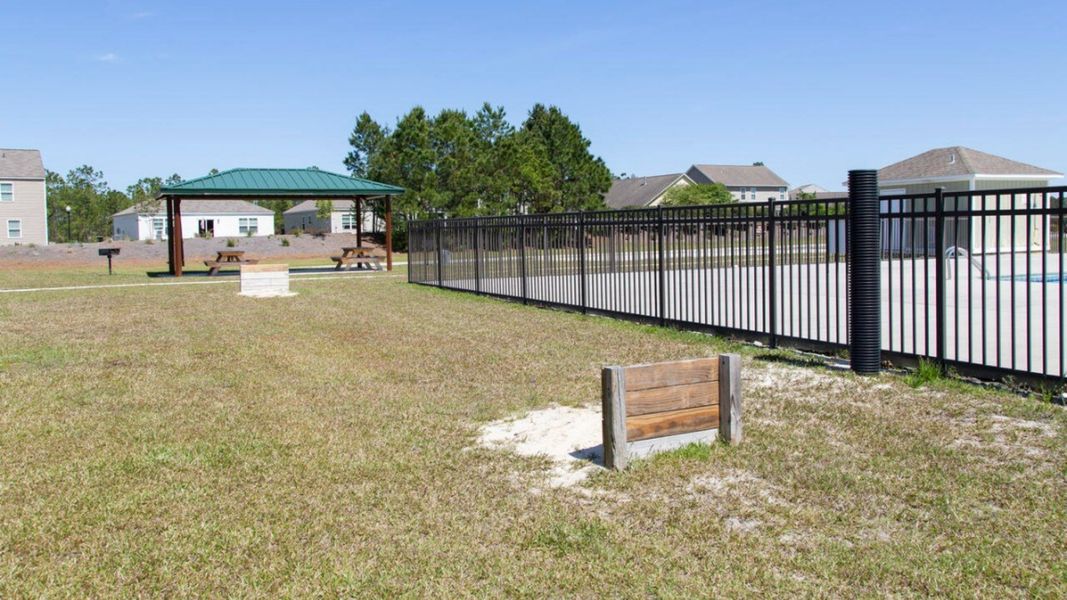 Community amenities in Townes at Seabrooke, Leland (Image 33).