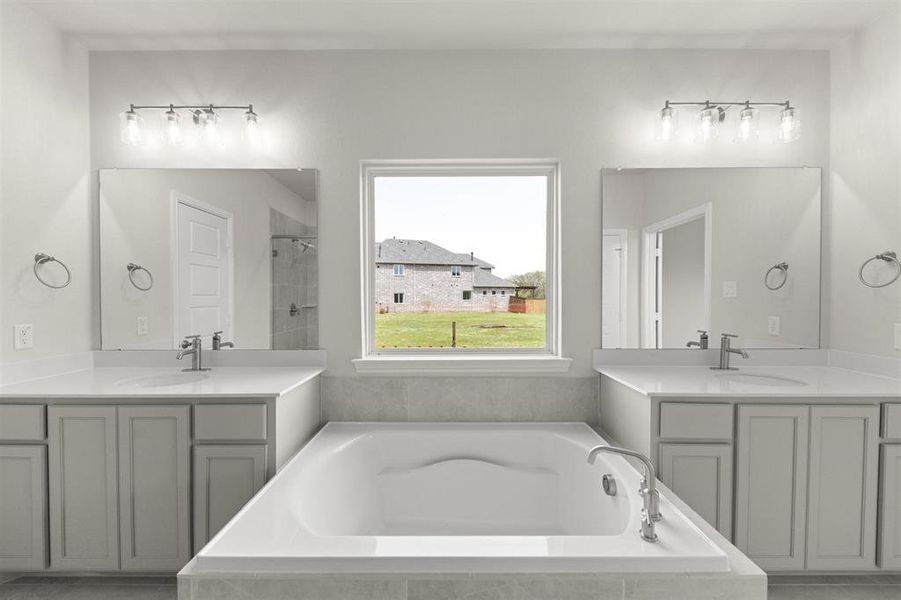 13_Grapevine II_Representative Photo