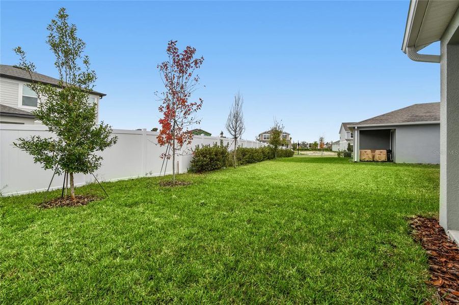 Exterior details and patio area of a home in Chapel Crossings, Wesley Chapel (Image 26).