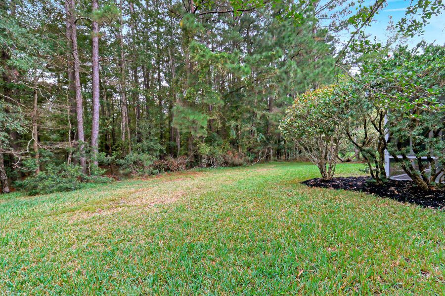 Natural landscape and outdoor views near in Bluffton (Image 29). Natural landscape and outdoor views near in Bluffton (Image 29).
