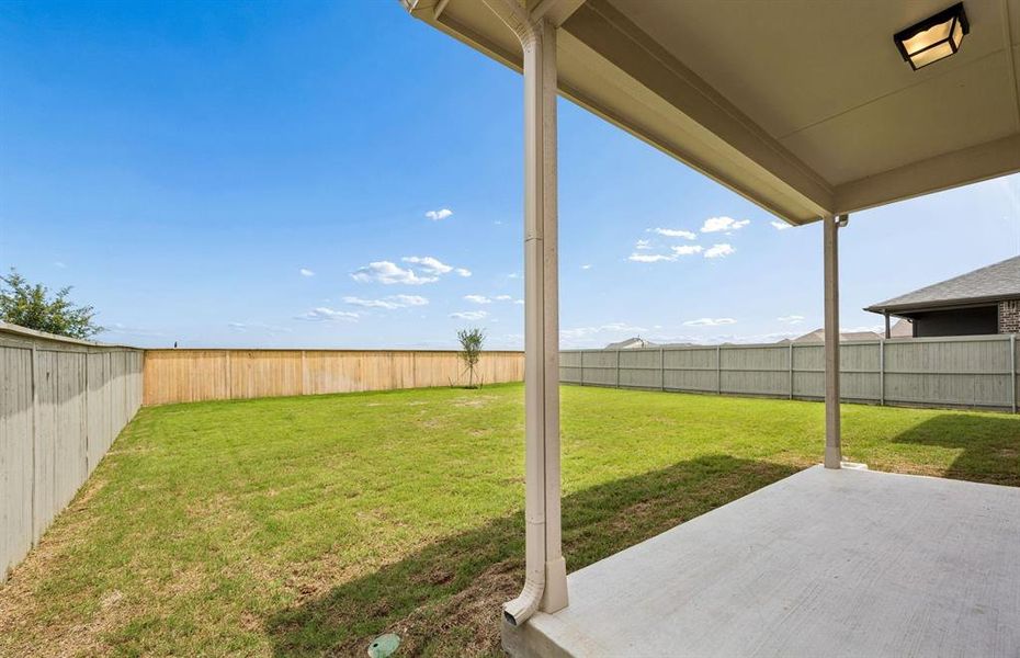Large fenced in backyard